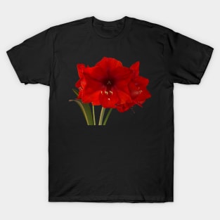 Amaryllis T-Shirt